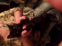 click for enlarge 1920 X 1440 645.5 Kb picture