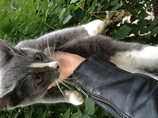 click for enlarge 1920 X 1440 762.5 Kb picture