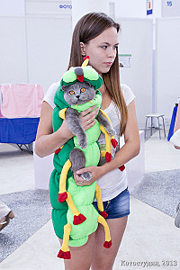 click for enlarge 400 X 600 113.7 Kb picture