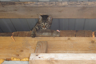 click for enlarge 1063 X 709 615.1 Kb picture