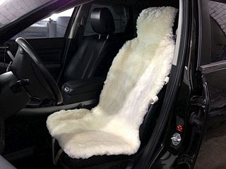 click for enlarge 1024 X 768  88.8 Kb picture