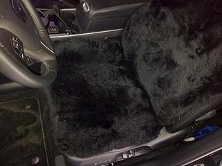 click for enlarge 448 X 336  26.7 Kb picture