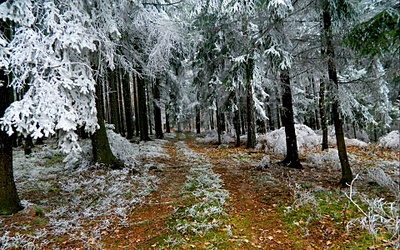 click for enlarge 1920 X 1200 892.6 Kb picture