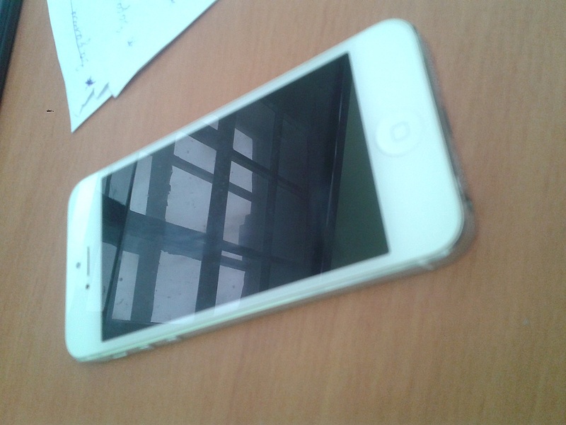 click for enlarge 1024 X 768 171.1 Kb picture