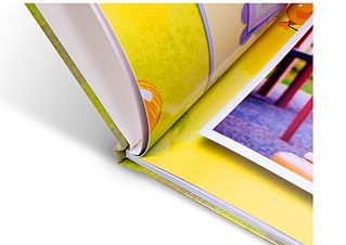 click for enlarge 768 X 544 90.7 Kb picture