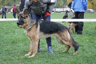 click for enlarge 601 X 400 282.5 Kb picture