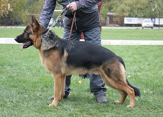 click for enlarge 559 X 400 249.2 Kb picture