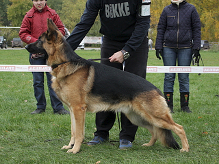 click for enlarge 535 X 400 249.7 Kb picture