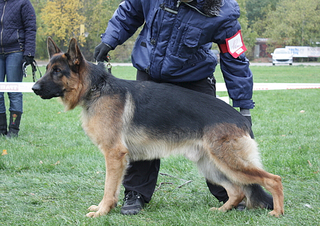 click for enlarge 566 X 400 256.0 Kb picture