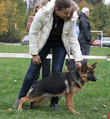 click for enlarge 556 X 600 364.9 Kb picture