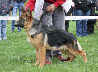 click for enlarge 547 X 400 253.2 Kb picture