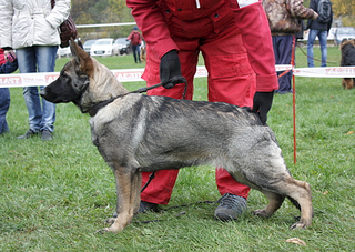 click for enlarge 563 X 400 264.5 Kb picture