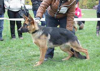 click for enlarge 563 X 400 255.9 Kb picture