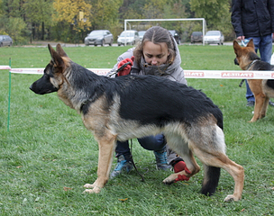 click for enlarge 507 X 400 231.1 Kb picture