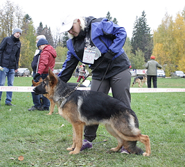 click for enlarge 445 X 400 208.5 Kb picture