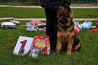 click for enlarge 800 X 532 152.0 Kb picture