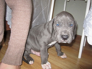 click for enlarge 1920 X 1440 699.0 Kb picture