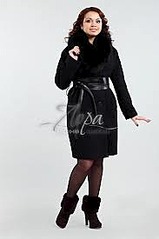 click for enlarge 183 X 275  10.2 Kb picture