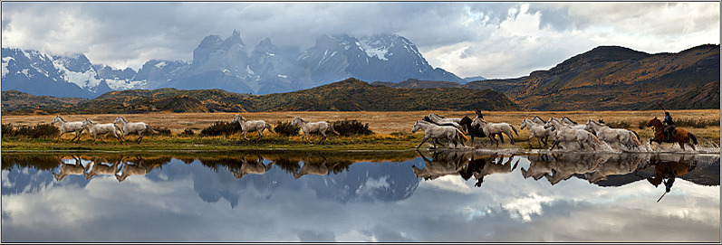 click for enlarge 1600 X 543 754.7 Kb picture