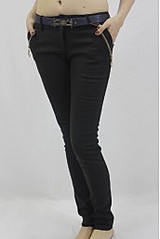 click for enlarge 172 X 257 7.3 Kb picture