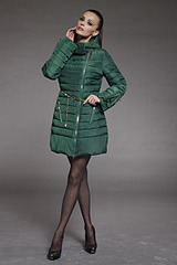 click for enlarge 800 X 1200 418.1 Kb picture