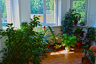 click for enlarge 800 X 535 588.1 Kb picture
