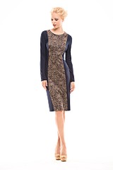 click for enlarge 683 X 1024 60.5 Kb picture