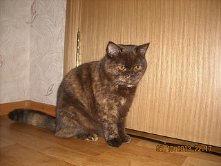 click for enlarge 1024 X 768 213.3 Kb picture