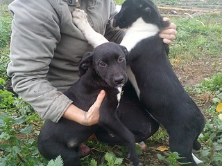 click for enlarge 1920 X 1440 687.0 Kb picture