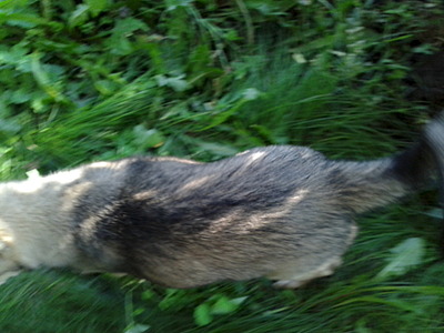 click for enlarge 1920 X 1440 552.1 Kb picture