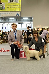 click for enlarge 333 X 500  56.7 Kb picture