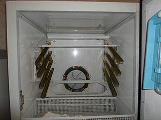 click for enlarge 1024 X 768 315.1 Kb picture