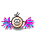 60 x 44