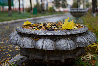 click for enlarge 1920 X 1290 666.4 Kb picture