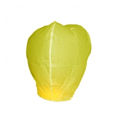 click for enlarge 600 X 600 77.9 Kb picture