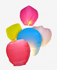 click for enlarge 487 X 600 111.4 Kb picture