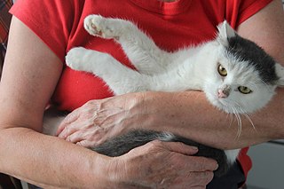 click for enlarge 807 X 538 78.1 Kb picture