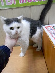 click for enlarge 605 X 807 73.1 Kb picture