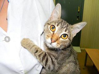 click for enlarge 1280 X 960 215.2 Kb picture