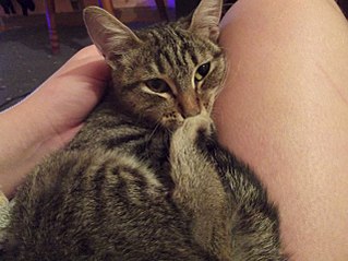 click for enlarge 1280 X 959 219.1 Kb picture