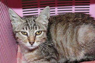 click for enlarge 1280 X 853 214.7 Kb picture