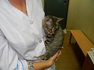 click for enlarge 1280 X 960 142.5 Kb picture