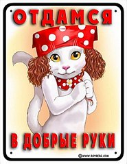 click for enlarge 495 X 640  58.8 Kb picture