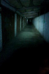 click for enlarge 1728 X 2592 462.8 Kb picture