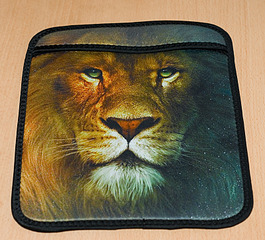 click for enlarge 800 X 724 385.0 Kb picture