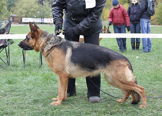 click for enlarge 560 X 400 254.4 Kb picture