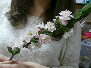 click for enlarge 800 X 600 183.8 Kb picture