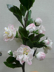 click for enlarge 600 X 800 172.8 Kb picture