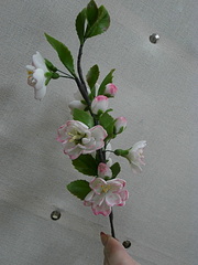 click for enlarge 600 X 800 199.2 Kb picture