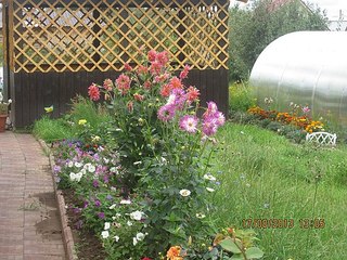 click for enlarge 604 X 453 100.9 Kb picture